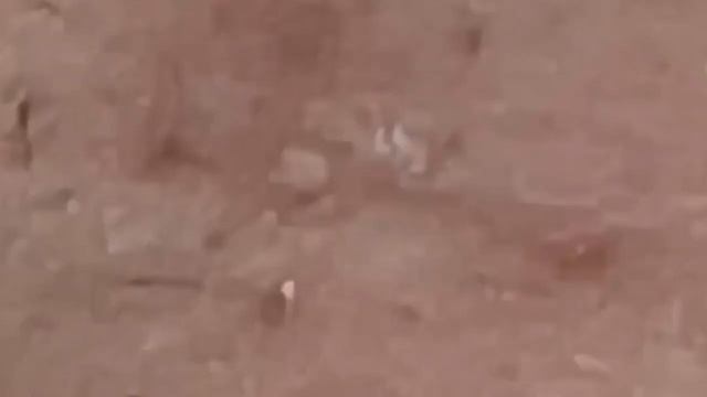 الوقت المناسب مع فيديوهات الغاز الطبيعي المسال #SDS 1825