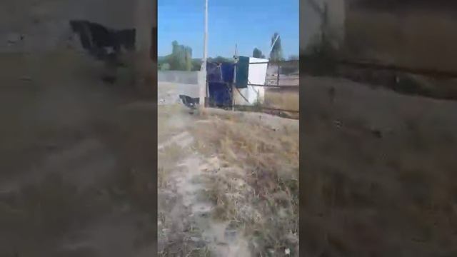 Продается дом. смотреть онлайн