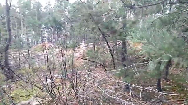 Размышления в лесу, как же так. Жизнь на даче смотреть онлайн