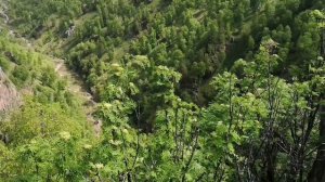 КАВМИНВОДЫ!