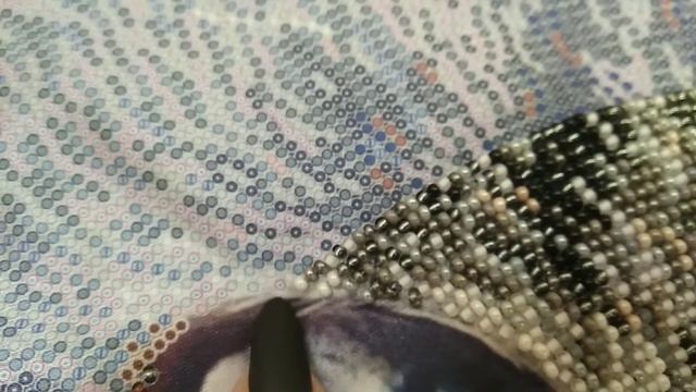 Вишивка бісером . Tela Artis кіт Мист (Mist) . Звіт 13