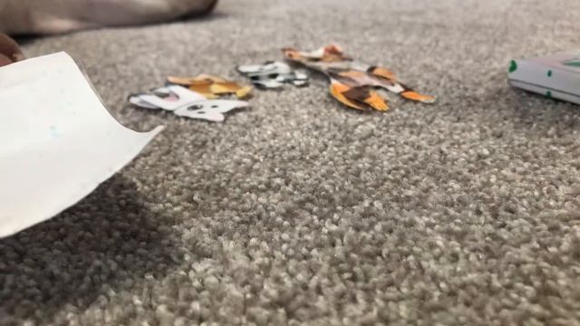 Роспаковка посилки с Ozone.