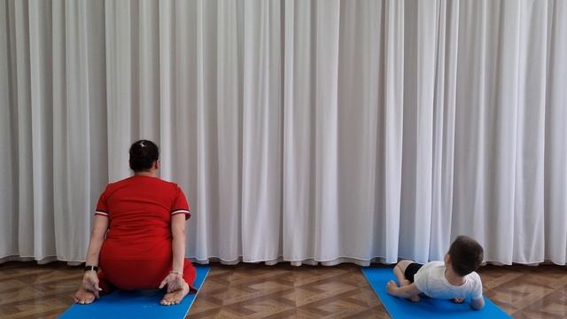 Морская звезда смотреть онлайн