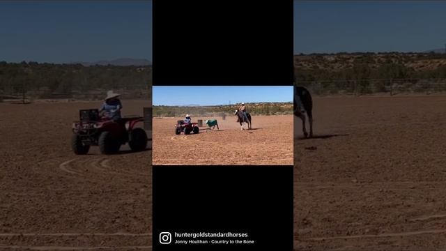 Chrome team roping the dummy смотреть онлайн