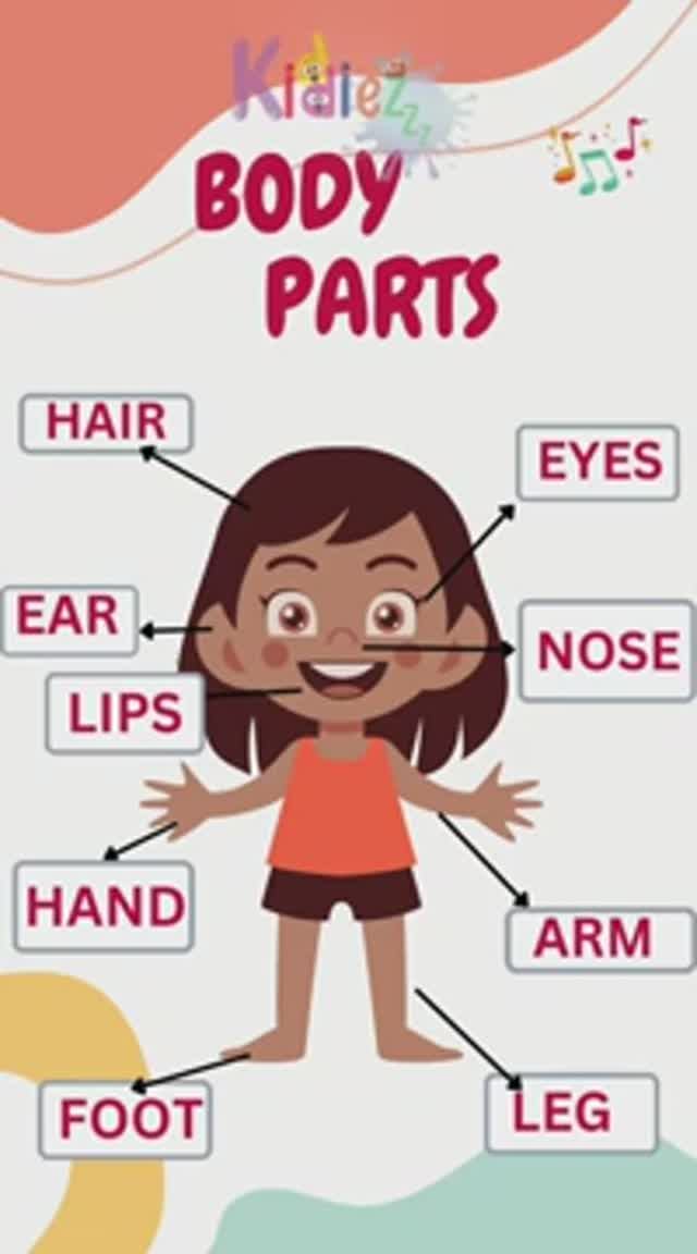 Английский для детей Learn Body parts _ Body parts смотреть онлайн