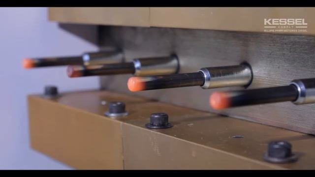 KESSEL COBALT -- Institucional