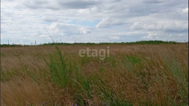 видео12 смотреть онлайн