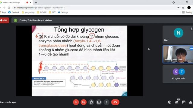 HSD - Chuyển Hóa Glucid Part 5 (Chuyển Hóa) - Thầy Phương