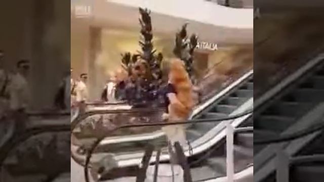 Собакен боится эскалатора смотреть онлайн