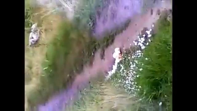 пули блик смотреть онлайн