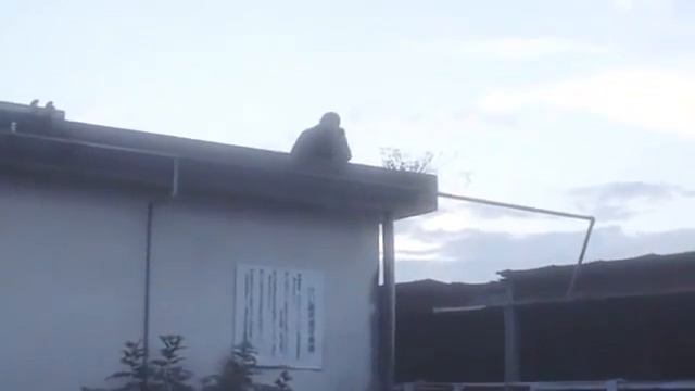 CÔ GÁI NGƯỜI SẮT VŨ KHÍ TỐI THƯỢNG PHIM HÀNH ĐỘNG Thuyết minh tiếng Việt смотреть онлайн