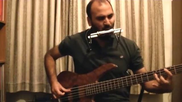Jaco Pastorius-"The Chicken" -bass & harmonica cover + tabs- por Julián Cordido смотреть онлайн