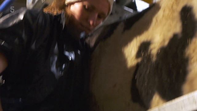 The Yorkshire Vet S14E01 смотреть онлайн