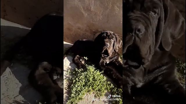 26 августа 2020 г. смотреть онлайн