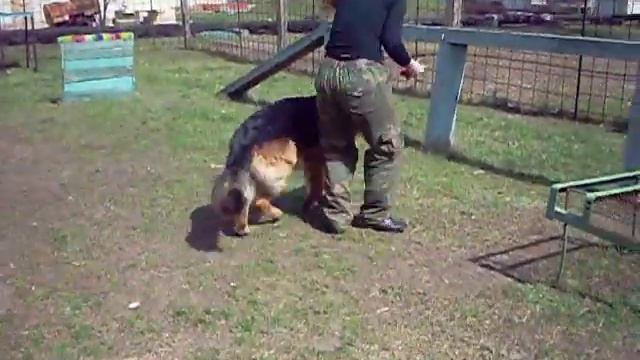 Байк учит команду 