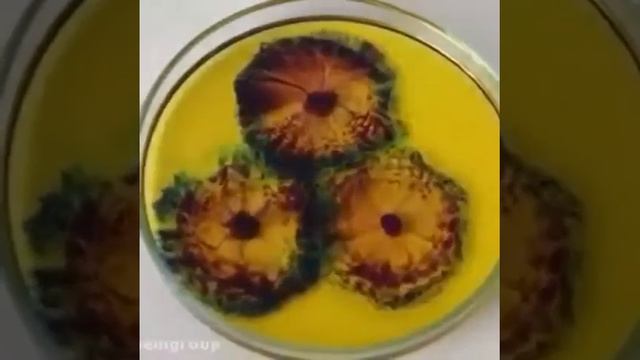 تفاعل الايثانول مع الصوديوم 🧪🥽 حيث ينتج ايثوكسيد الصوديوم🌻 смотреть онлайн