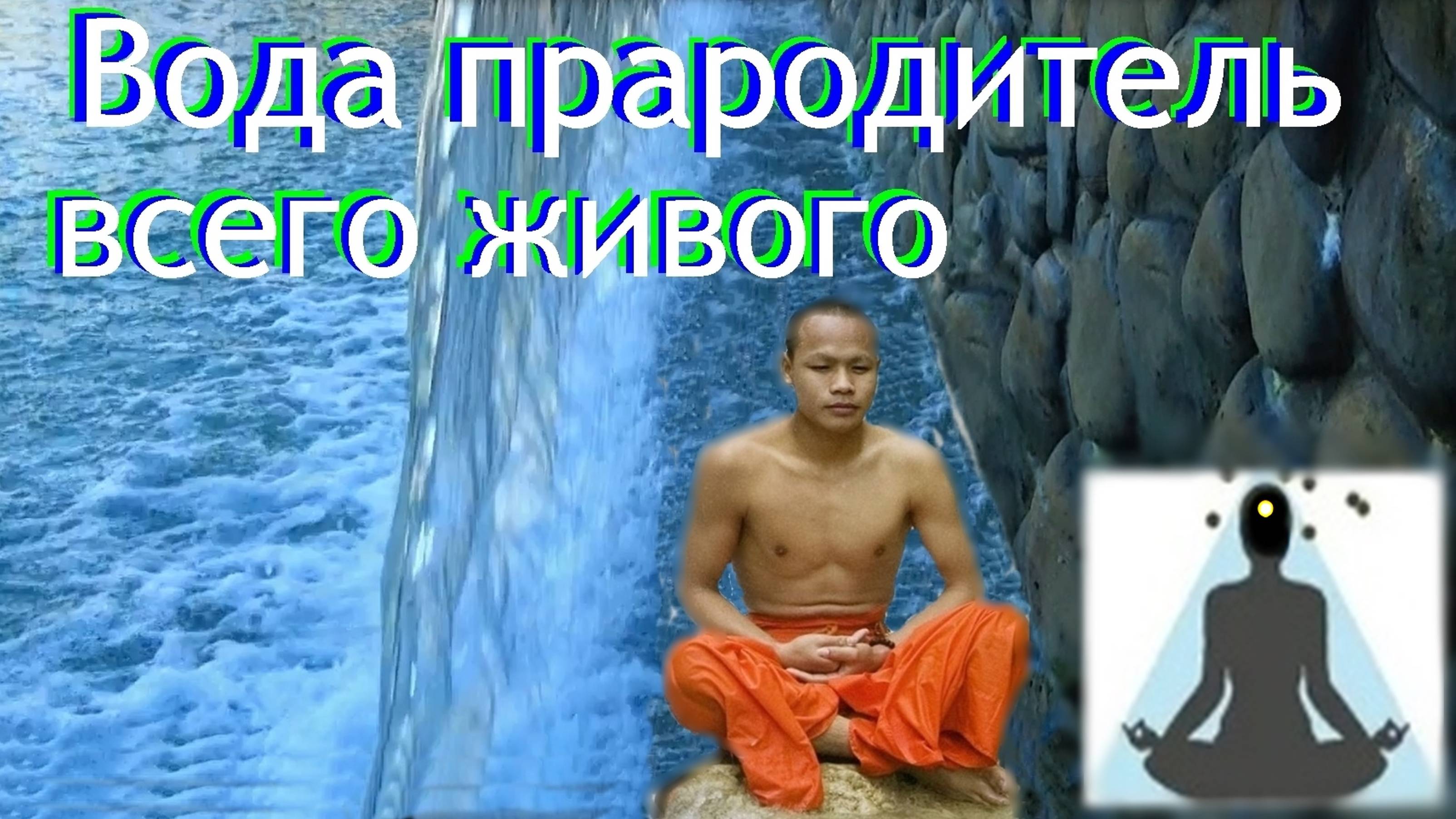 🌊Вода прародитель всего живого–от любого стресса смотреть онлайн