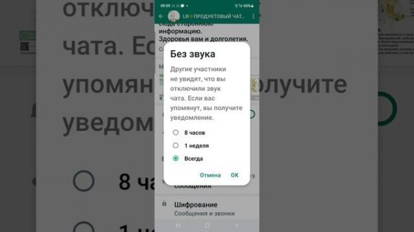 Как отключить звуковые оповещания WhatsApp
