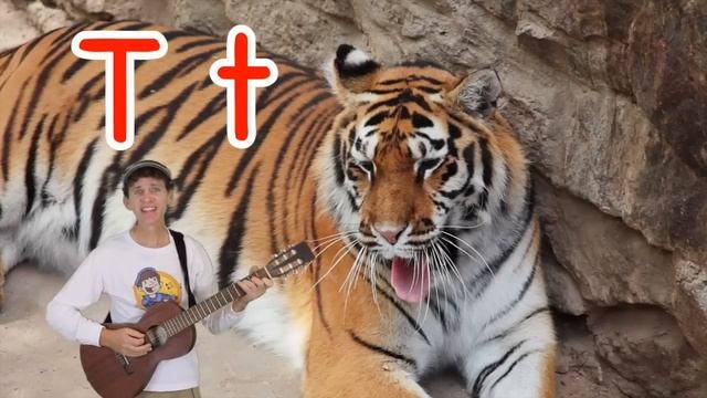 Study English Online For Kids | Animal Songs For Learning | Learn With Matt