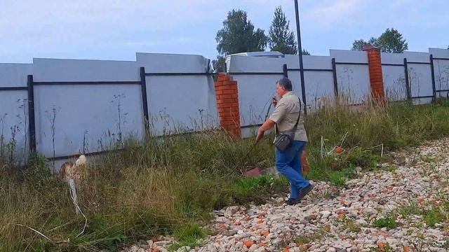 Приют Хаски Хелп смотреть онлайн