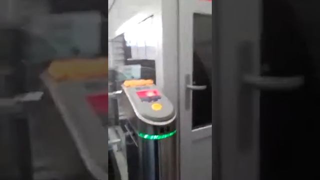 Кота оставили на ж/д вокзале в Колпино в переходе в переноске. ОЧЕНЬ НУЖЕН ДОМ или передержка. смотреть онлайн