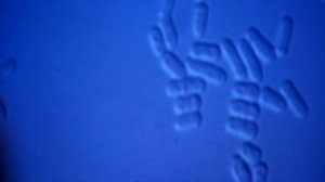 Время 1 сезон 2 серия (документальный сериал, 2006)