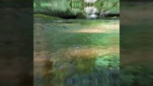 Мантра Меркурия,  ОМ БРАМ БРИМ БРАУМ САХ БУДХАЙЕ НАМАХ.