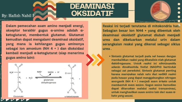 DEGRADASI ASAM AMINO || Biokimia Pangan - Kelompok 5 RB смотреть онлайн