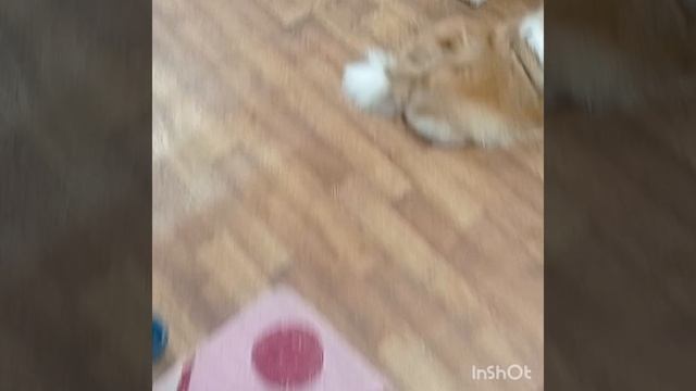 Меню на 2 неделю Марафона смотреть онлайн
