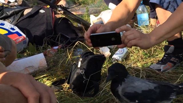 Молодо-зелено 02 смотреть онлайн