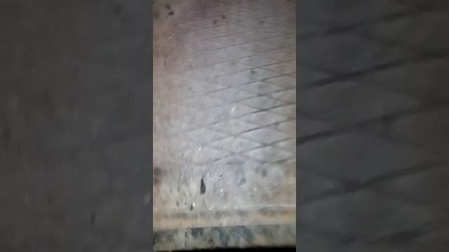Пошёл ночью в башню но залаяла собака и я ушёл смотреть онлайн