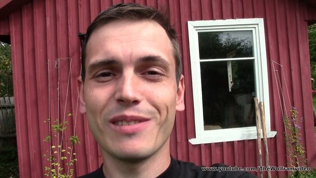 Подтянулся,Не считал сколько раз(Russian record holder Wolfram) смотреть онлайн