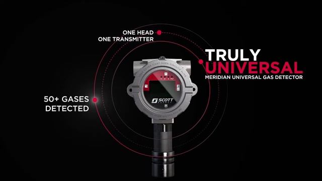 Gas Detectors That Address Both Toxic and Combustible Gases смотреть онлайн