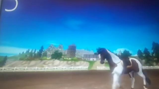 топ 10 выездковых лошадей в стар стэйбл!🌌🐎🐴🌺