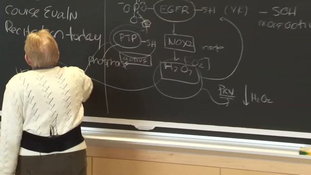34. Reactive Oxygen Species 4 & Nucleotide Metabolism 1 смотреть онлайн