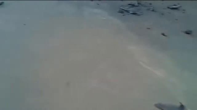 Scariest #Ghost In The Woods Caught On Camera CCTV Warning Scary Videos RM смотреть онлайн