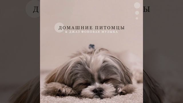 В дикой природе смотреть онлайн