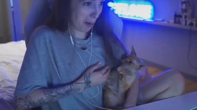 КОТ УКУСИЛ ЗА СОСОК смотреть онлайн