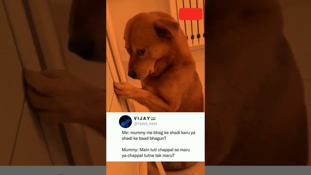 Instagram funny reels status 🤣......!! смотреть онлайн