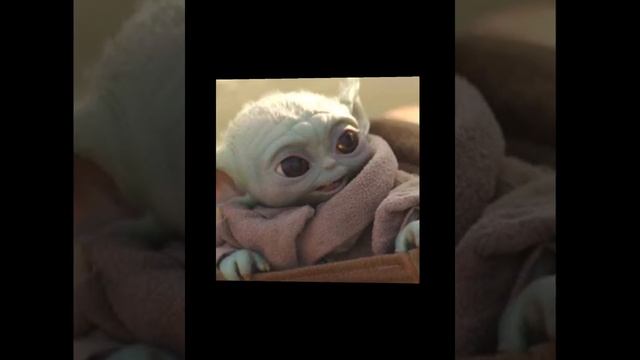 fotos de baby yoda смотреть онлайн