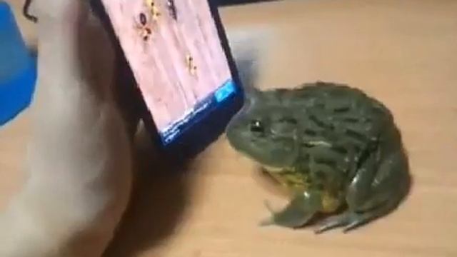 Халява всегда ОБЛОМ смотреть онлайн