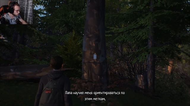 Life Is Strange 2 Эпизод 1 | ВЫЖИВАНИЕ В ЛЕСУ #2