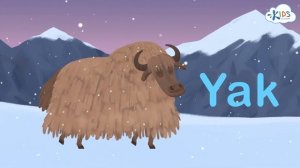 Letter Y - Phonics for Kids | Learn the Alphabet - | Kids Academy