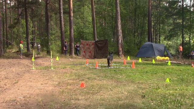 Лазвиашвили Ирина н о Гоша послушание Профи Мастер на лесных играх 2018 11.07.18 смотреть онлайн