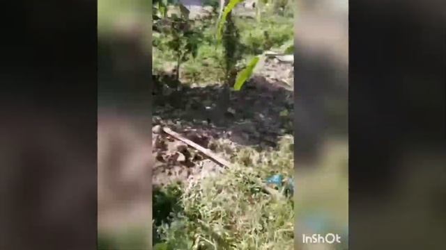 ПАВЛОВНИЯ М1 ВА ФТЕ НИХОЛАРИГА ЗАКАЗ КАБУЛ КИЛАМИЗ ВА ИЛДИЗ КАЛАМЧАЛАР БОР ТЕЛ +998908101870 смотреть онлайн