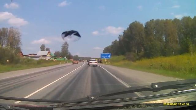 Ещё автохам