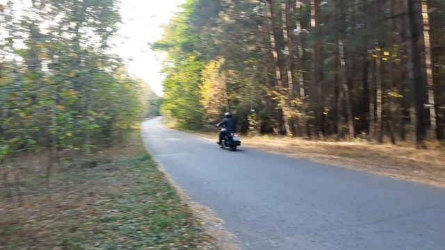 Benda Chinchilla 500