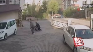 ужас собака