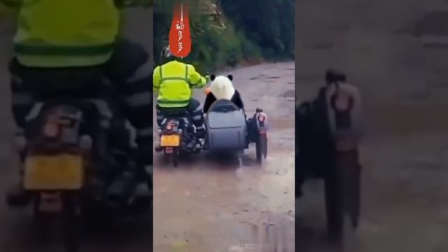 #Life&Work@Cuty Online for Laser Soldering#05172200 смотреть онлайн