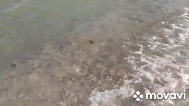 Пляж заработал! 🌊01.07.23. смотреть онлайн
